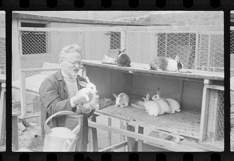 Leon Trotsky holding a bunny rabbit and standing next to a box of more bunnies. Digitized black and white photo negatives.