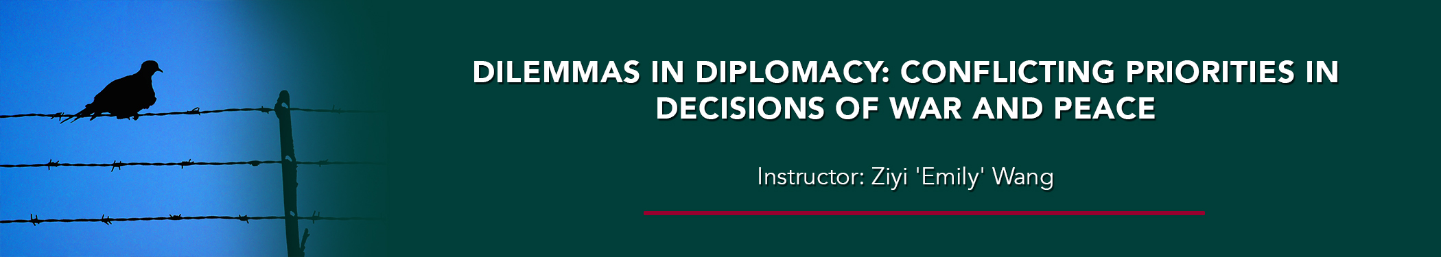 Dilemmas in Diplomacy: Conflicting Priorities in Decisions of War and Peace