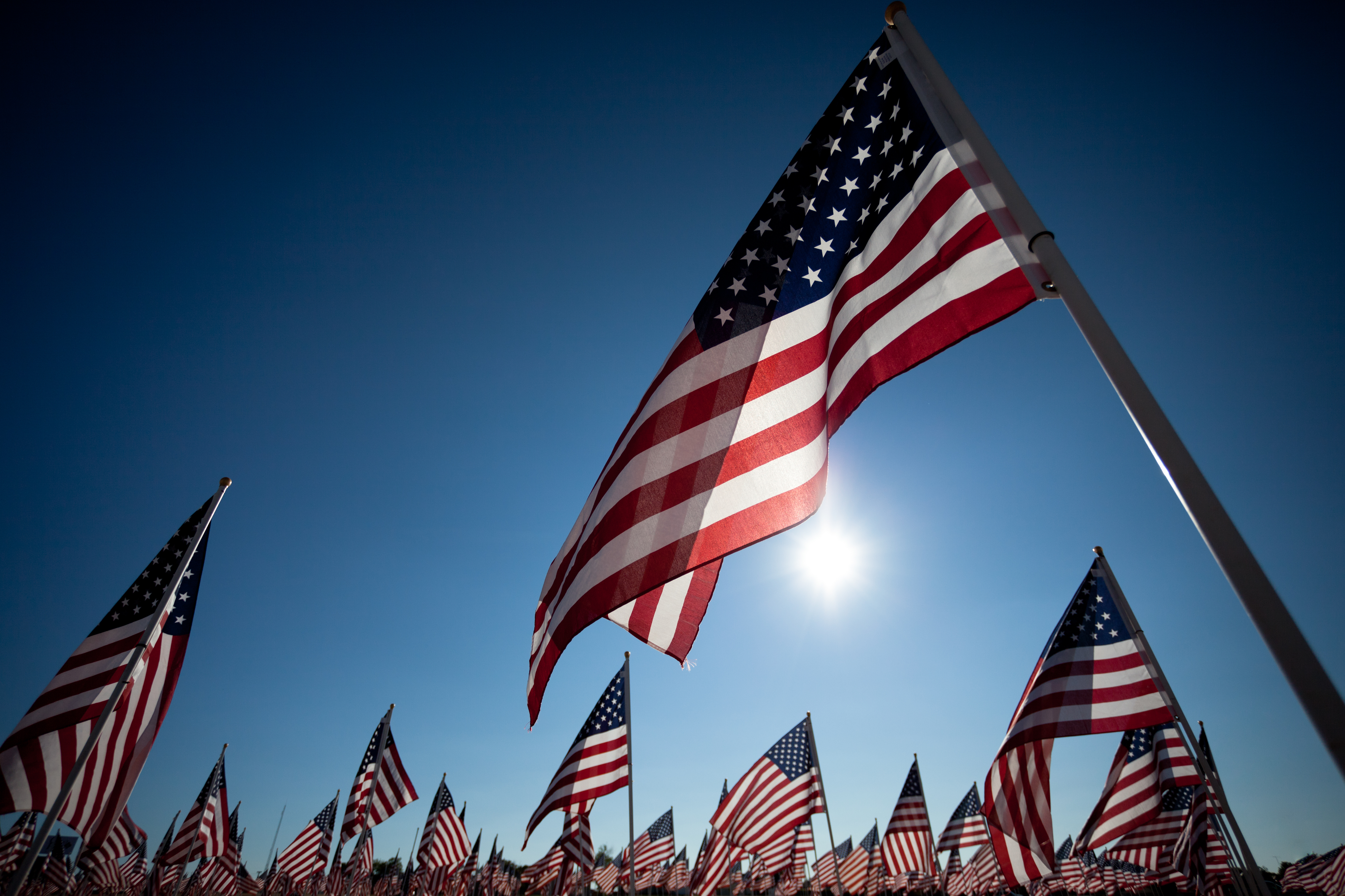 usflags shutterstock  image
