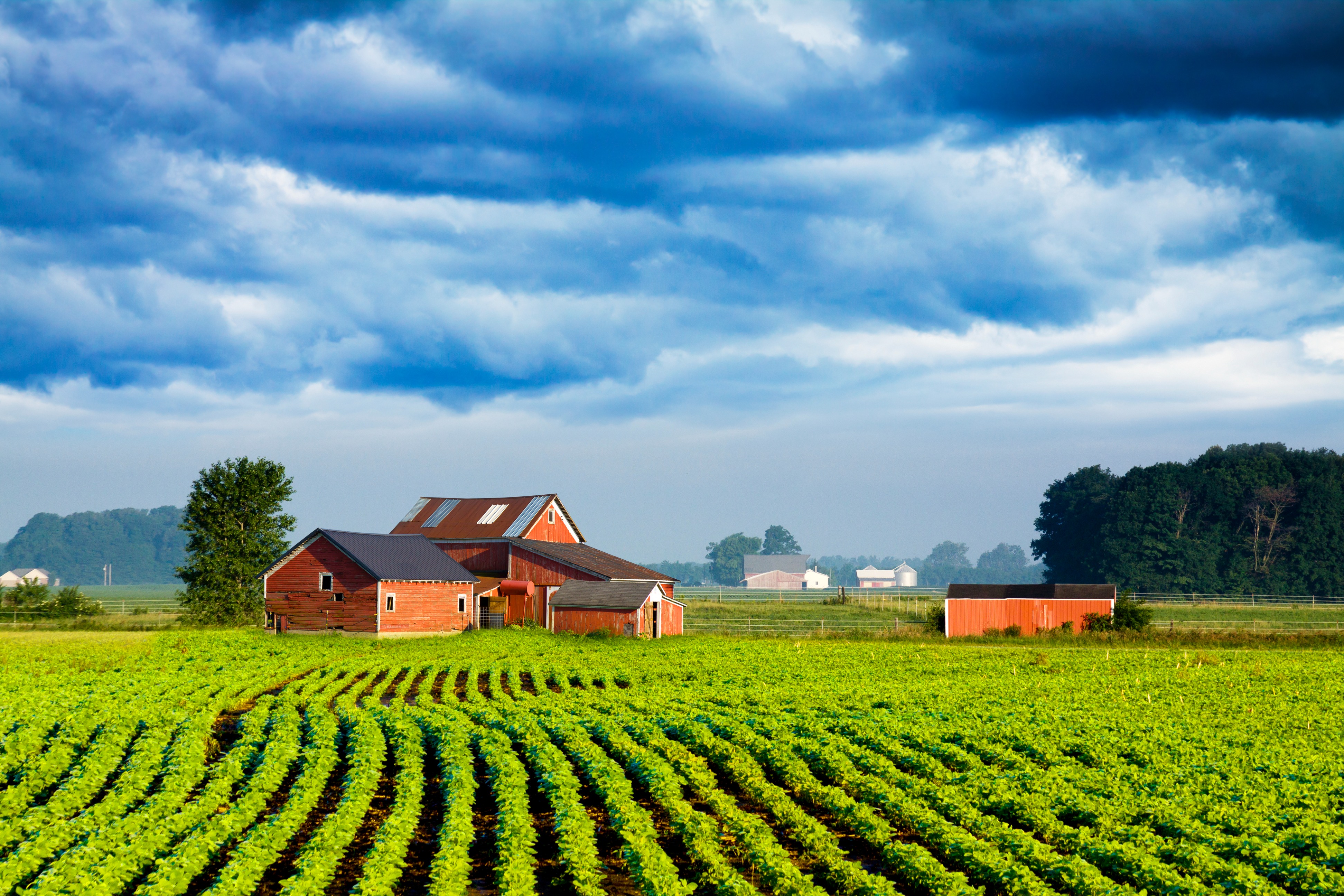 indiana farm