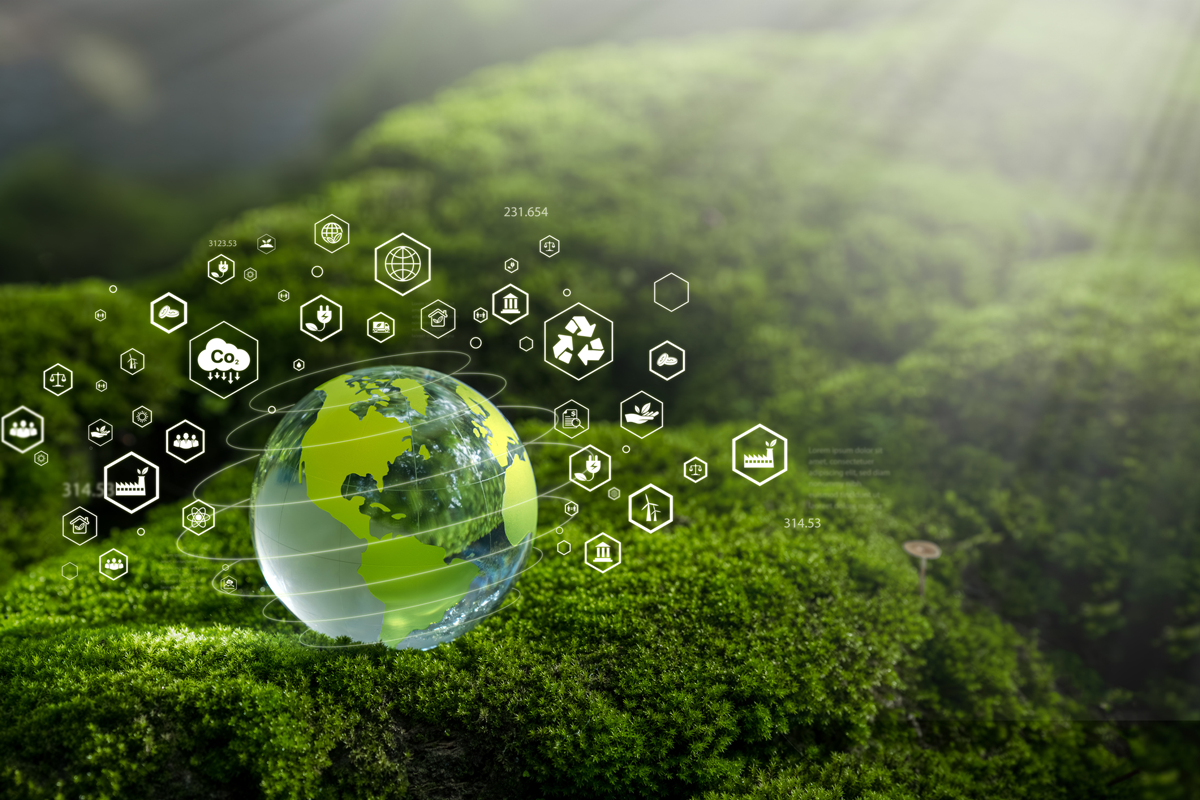 Environment