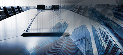 Governance of Organizations Working Group