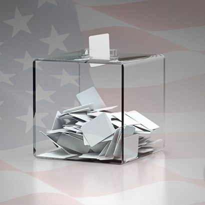 2023-24 U.S. National Election Panel