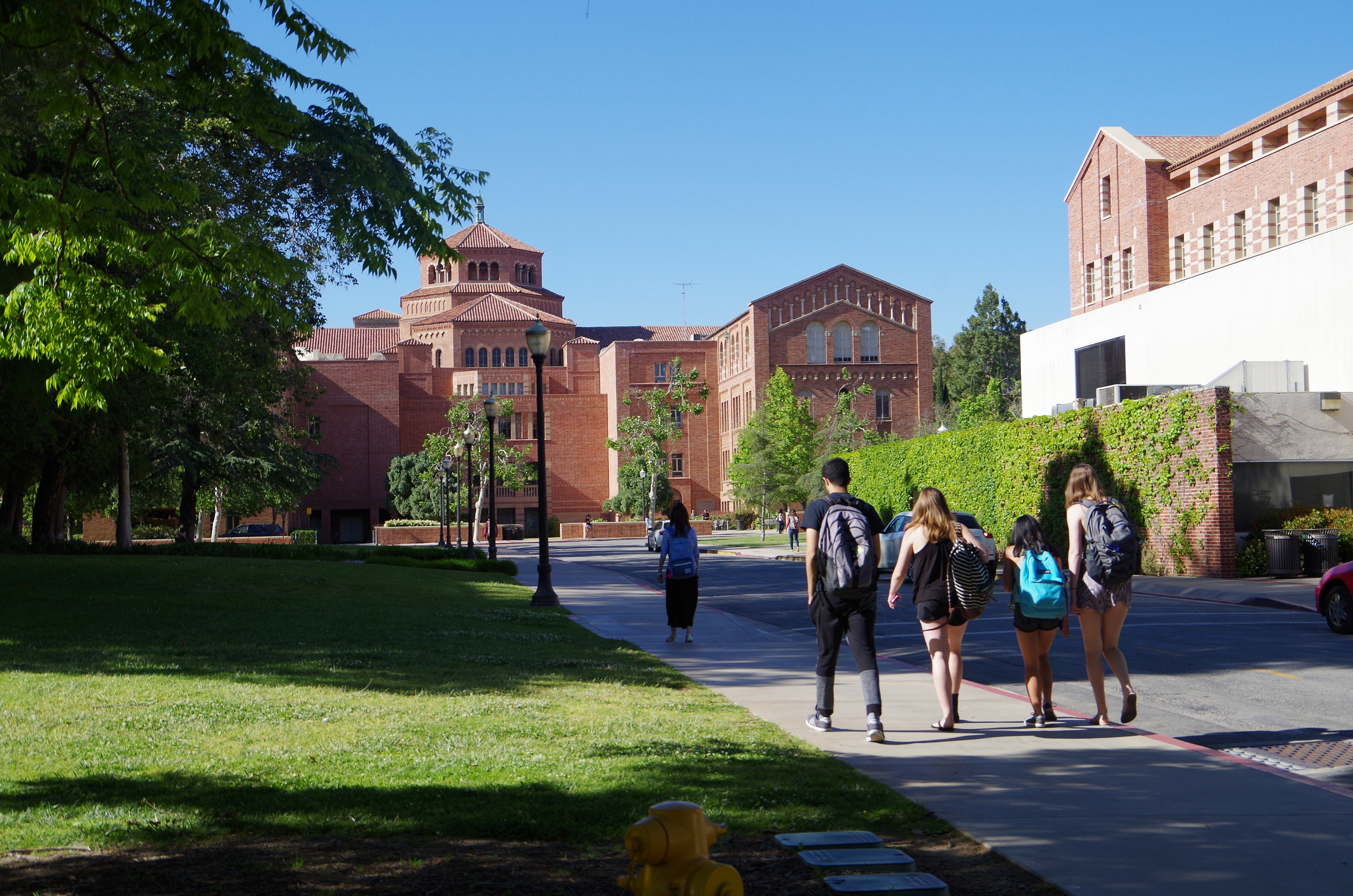 college   image