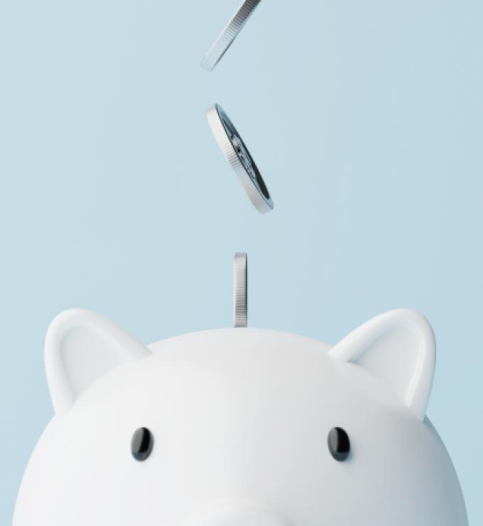 Piggy Bank Saving