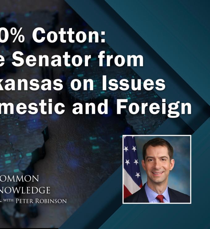 UK_Cotton