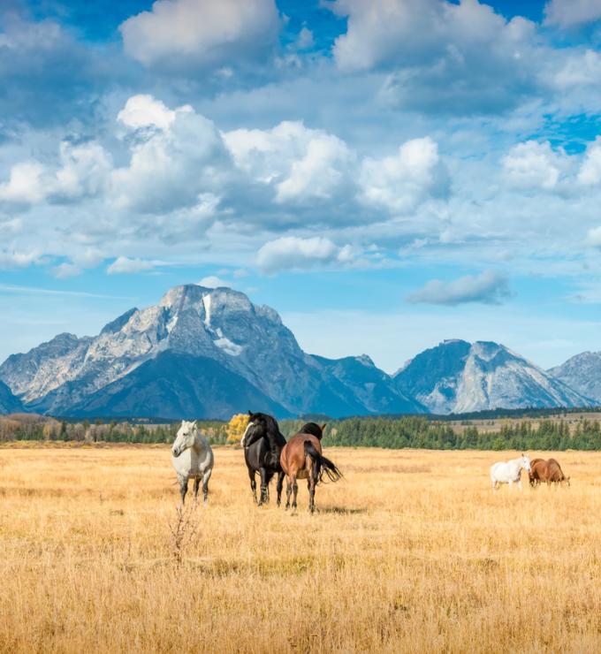 Wyoming
