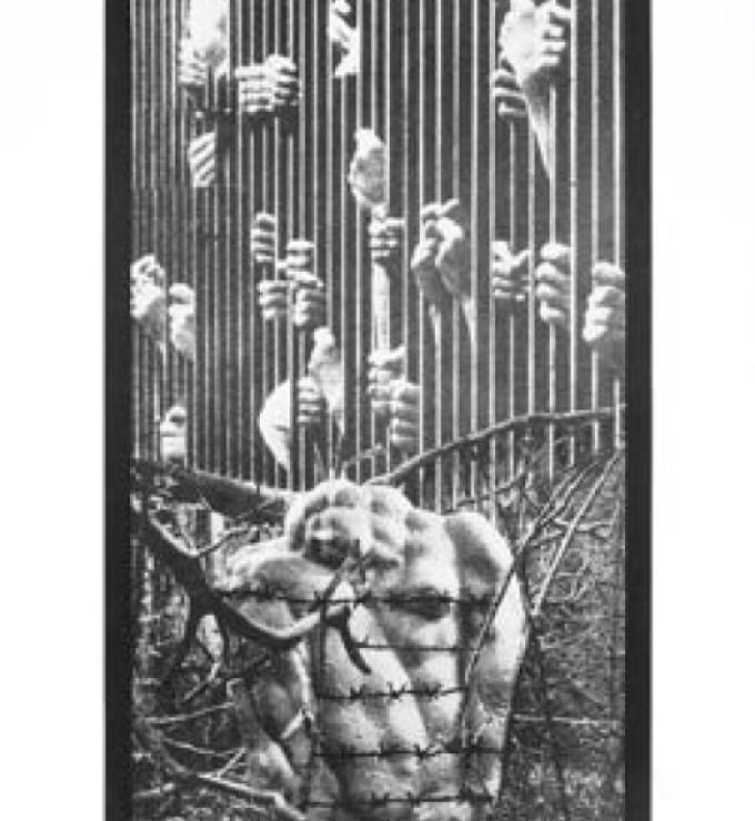 Image for Revolutionary Eye
