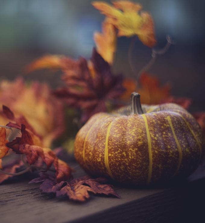 thanksgiving   image
