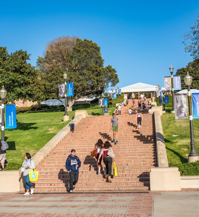 collegeucla   image