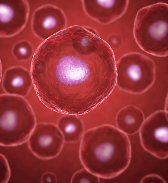 stemcell shutterstock  image