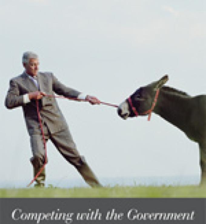 Competing with the Government: Anticompetitive Behavior and Public Enterprises