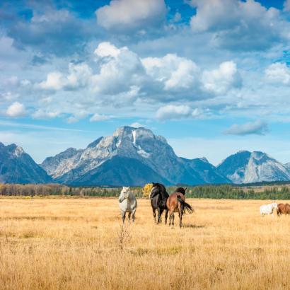 Wyoming