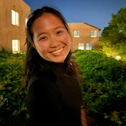 Judy N. Liu