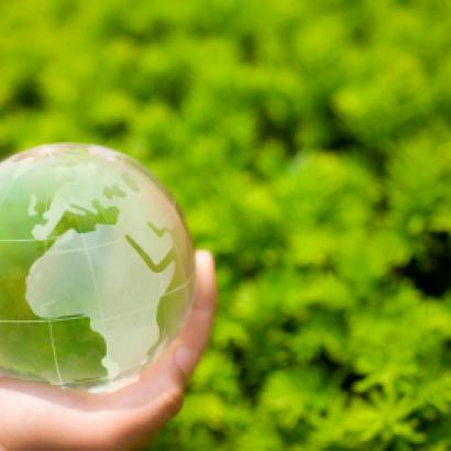 Image for Conservative Environmentalism 