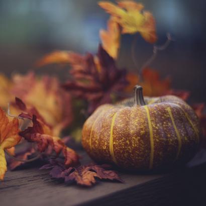 thanksgiving   image