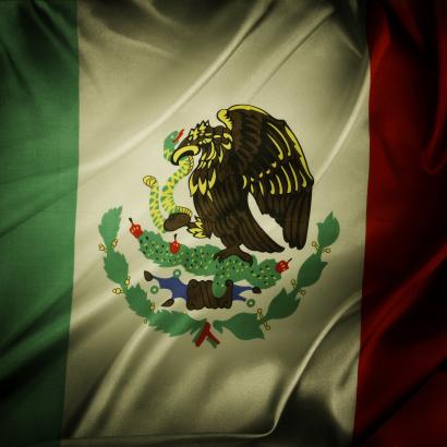 Mexican Flag