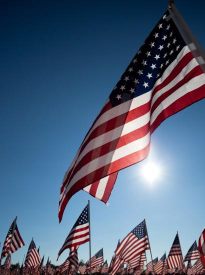 usflags shutterstock  image