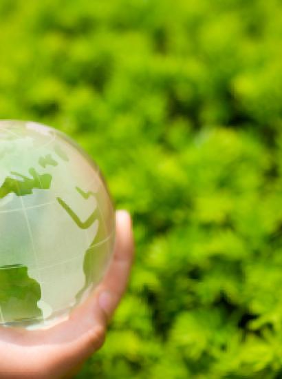 Image for Conservative Environmentalism 