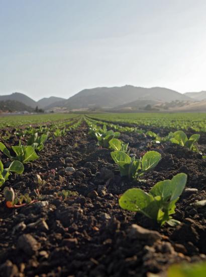 Agriculture