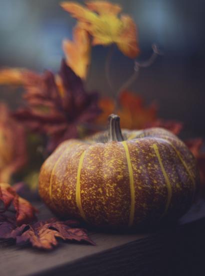 thanksgiving   image