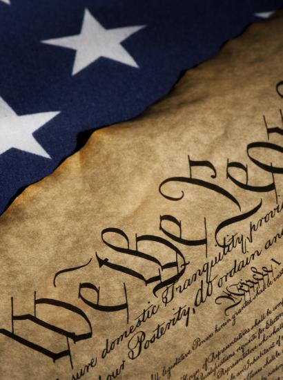 constitution   large image