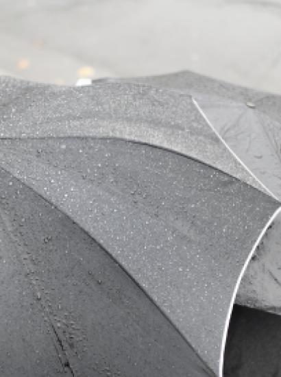 rain   large image