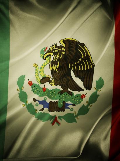 Mexican Flag