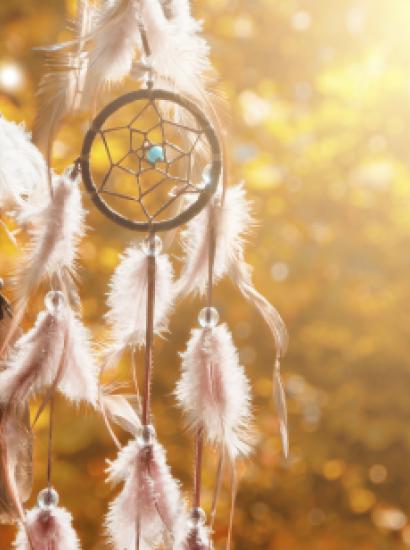 nativeamerican   large image