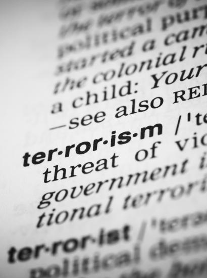 terror   large image