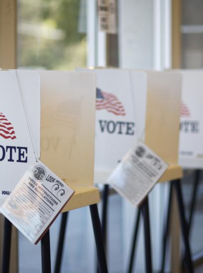 vote   large image