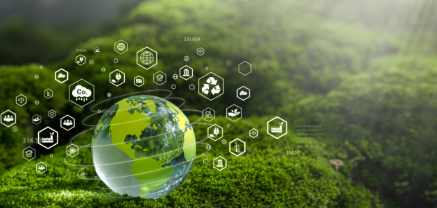Energy Policy In Transition