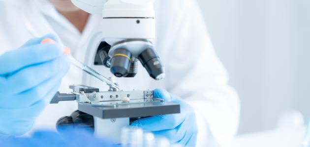 Scientist analyze biochemical samples in advanced scientific laboratory. Medical professional use microscope look microbiological developmental of viral. Biotechnology research in science lab. stock photo