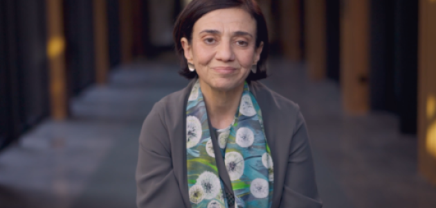 Enhancing Education: The Immigrant Effect in U.S. Schools