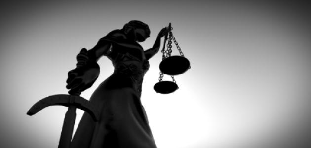 Image for Innovation and Patent Systems: Assessing Theory and Evidence
