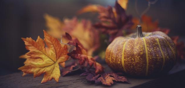 thanksgiving   image