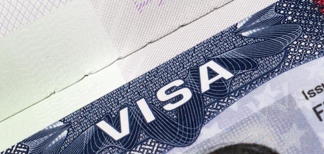 visa  image