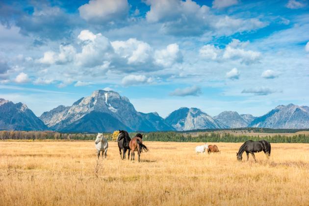 Wyoming