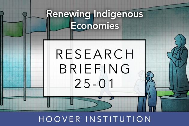 Renewing-Indigenous-Economies_Research_Brief_8.jpg