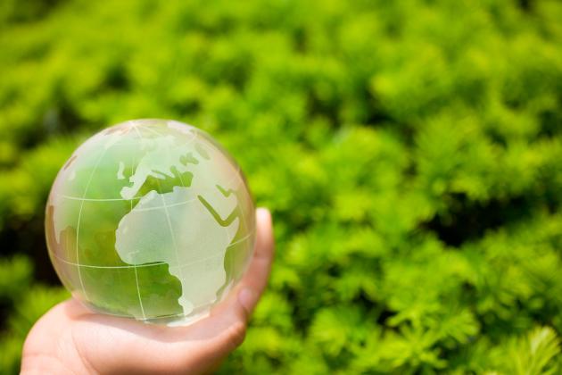 Image for Conservative Environmentalism 