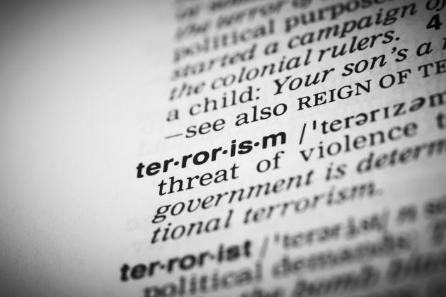 terror   large image