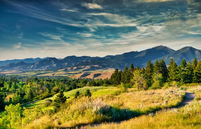 Montana