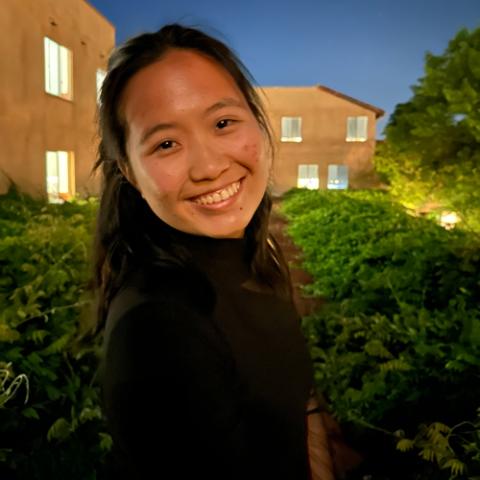 Judy N. Liu