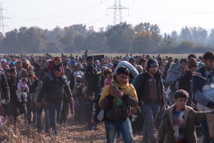immigration   image