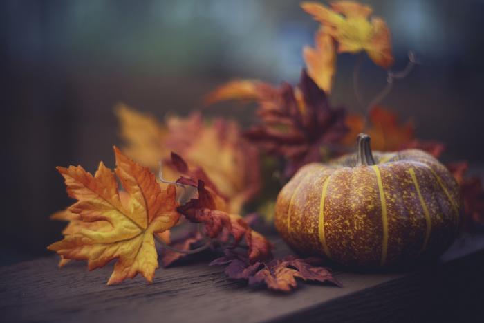 thanksgiving   image