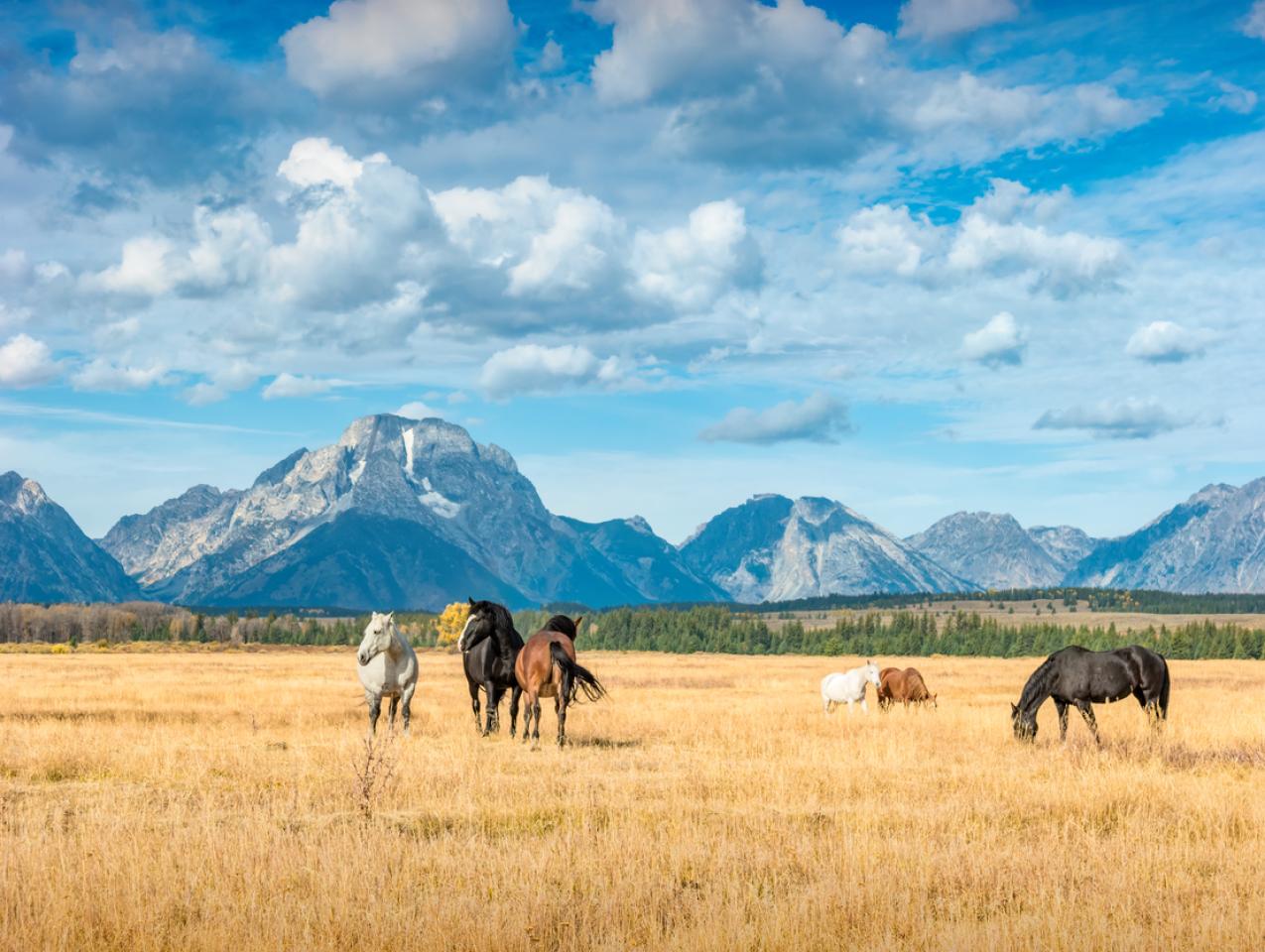 Wyoming