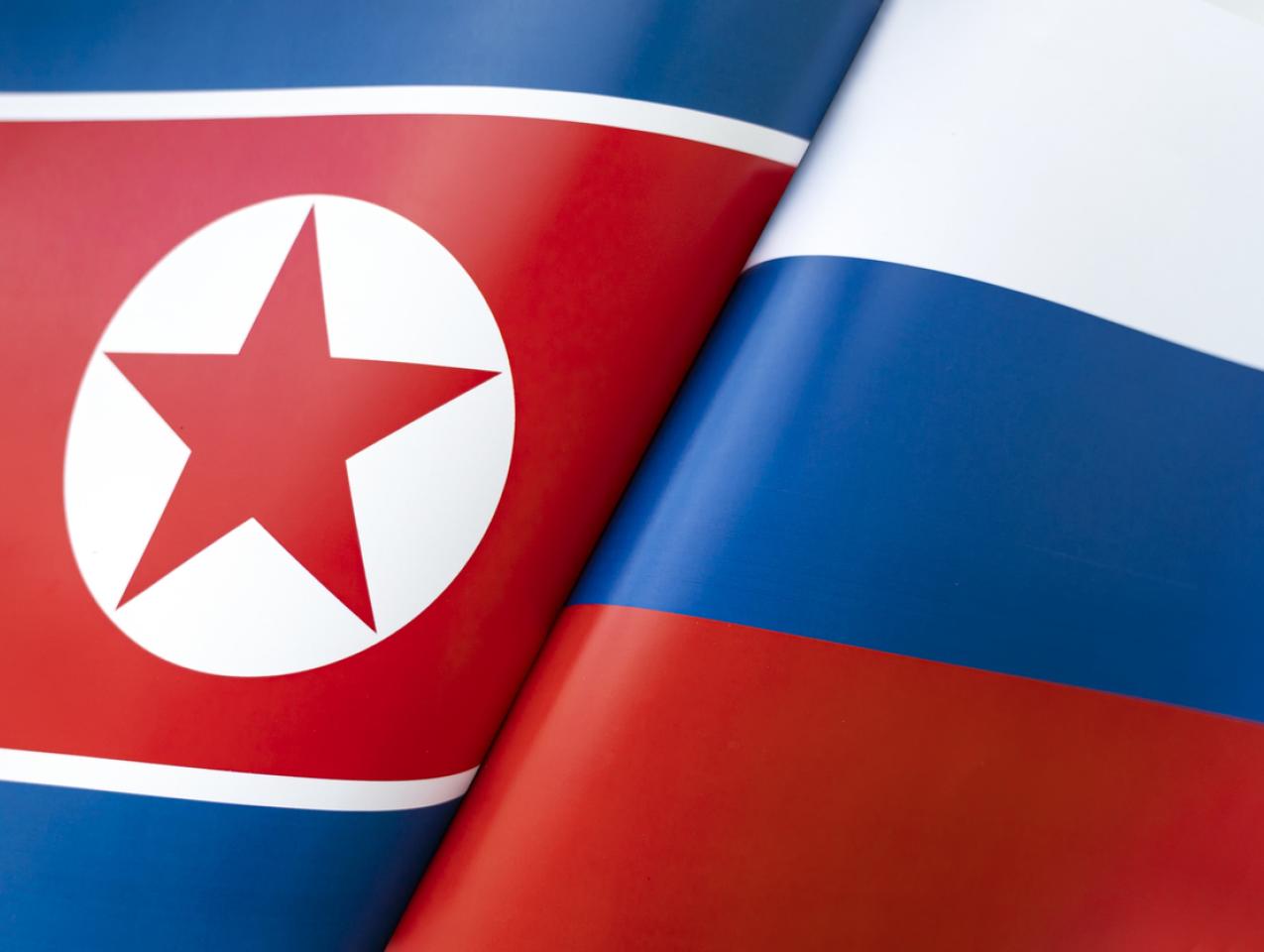Background of the flags of the North Korea and Russia. The concept of interaction or counteraction between the two countries. International relations. political negotiations. Sports competition. stock photo