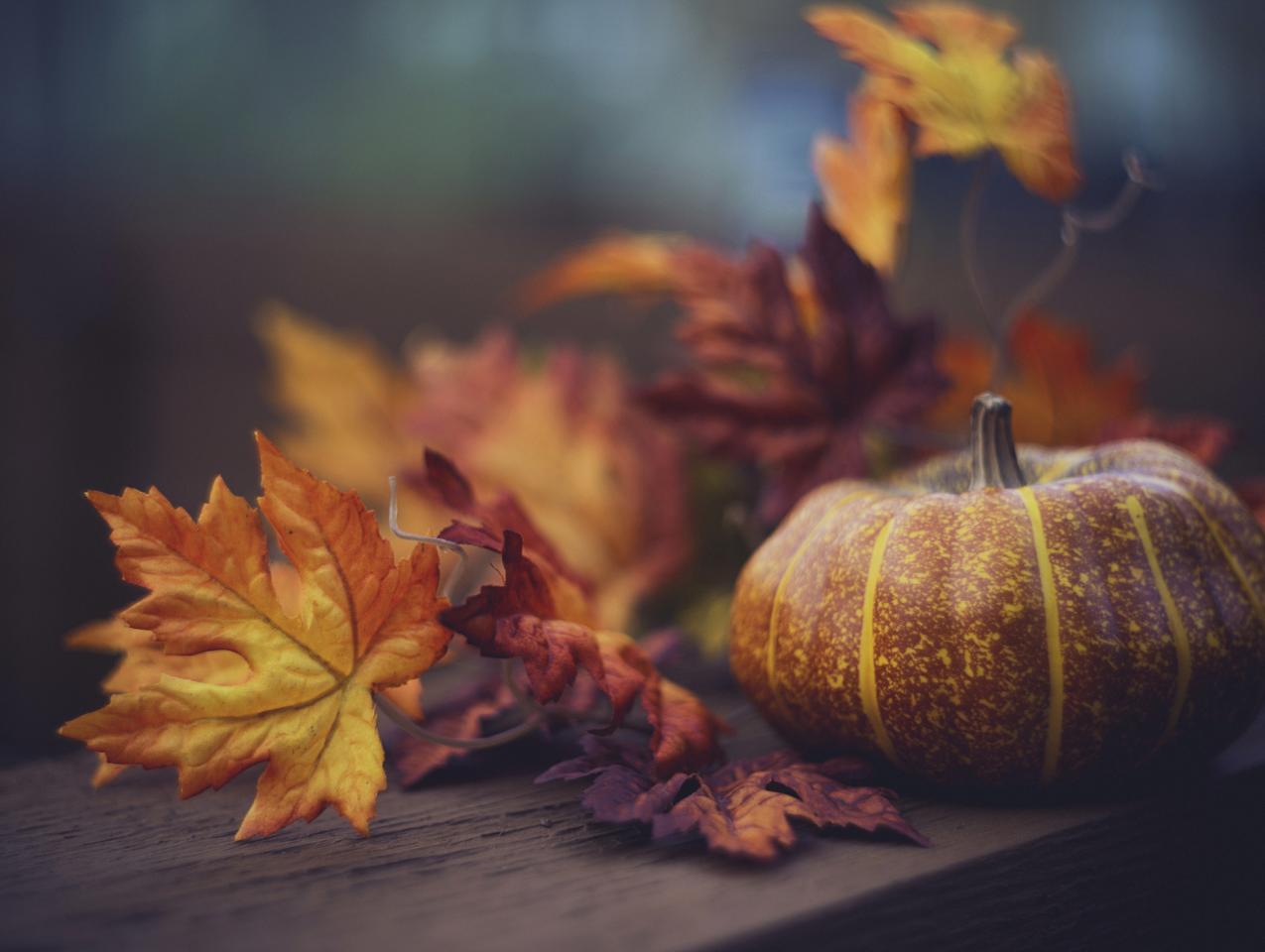 thanksgiving   image