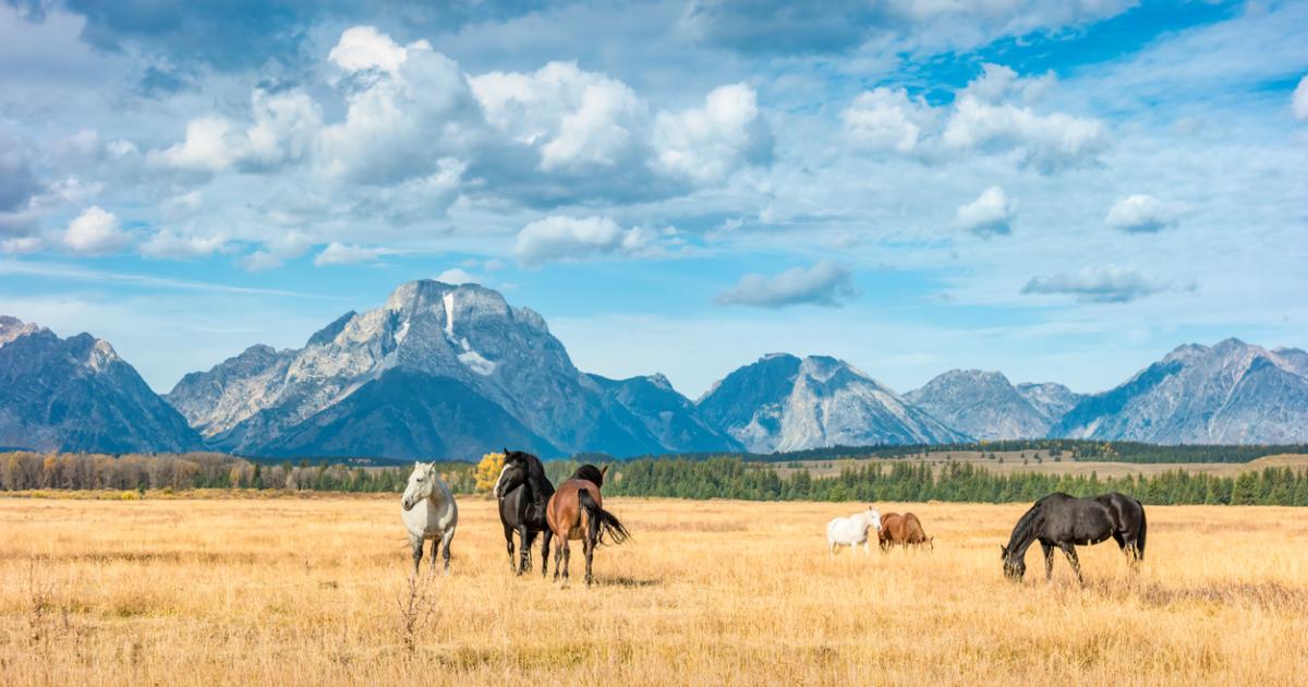 Wyoming
