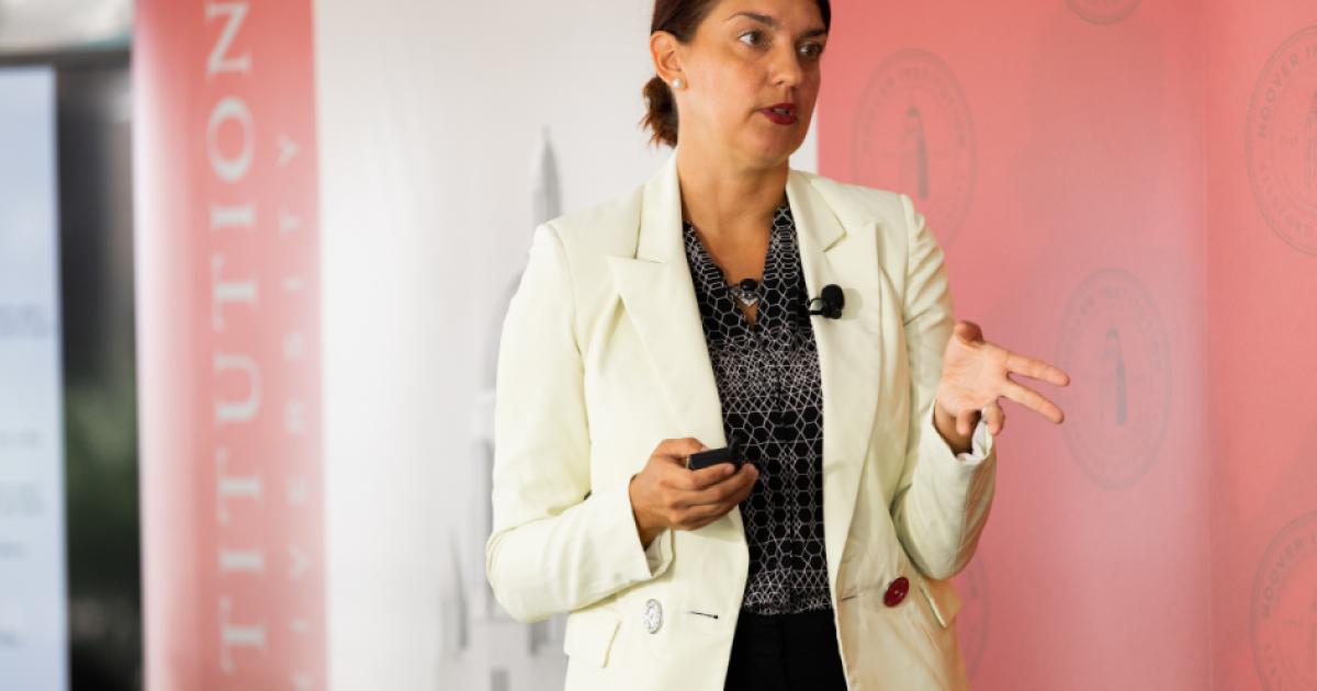 Cyber Security from Nation States to Private Partnerships